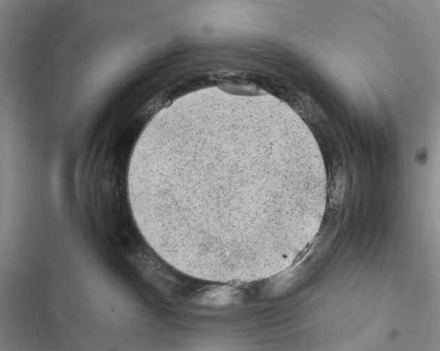 X0000116440140201001191539