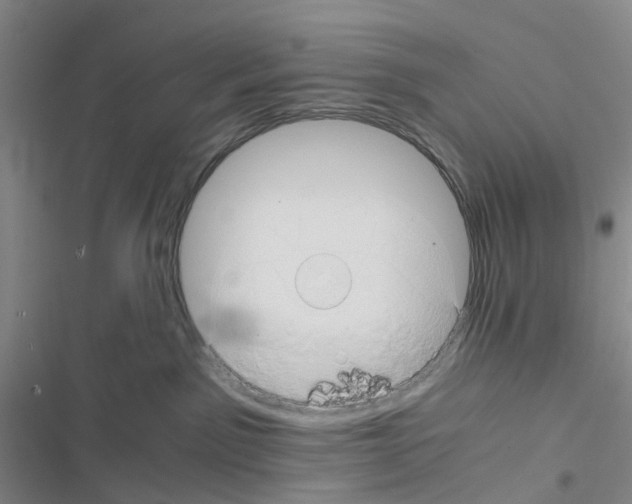 X0000116440141201001191539