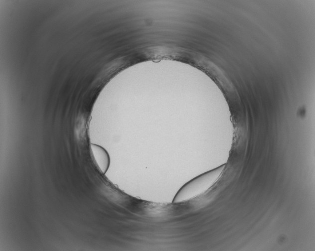 X0000116440142201001191539