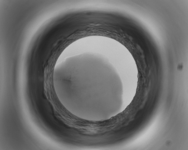 X0000116440143201001191539