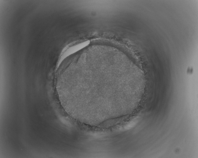 X0000116440144201001191539