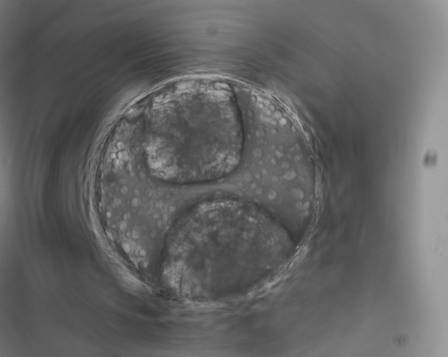 X0000116440145201001191539