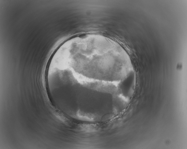 X0000116440147201001191539