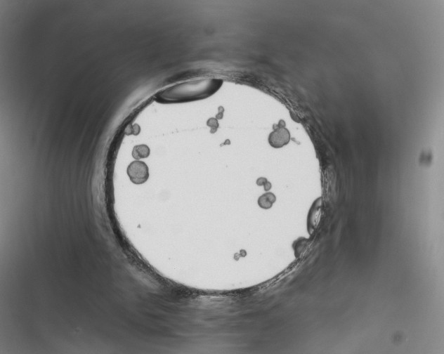 X0000116440150201001191539