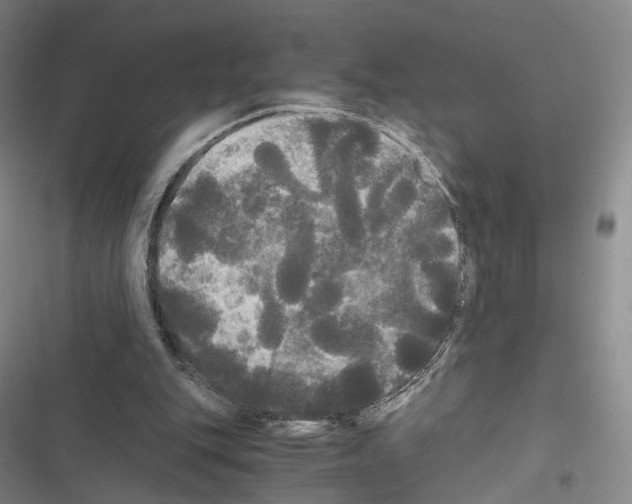 X0000116440151201001191539