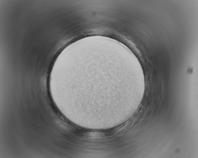 X0000116440154201001191539