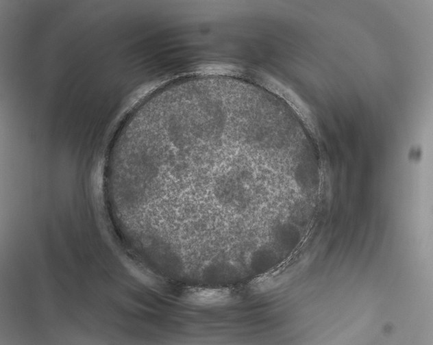 X0000116440155201001191539