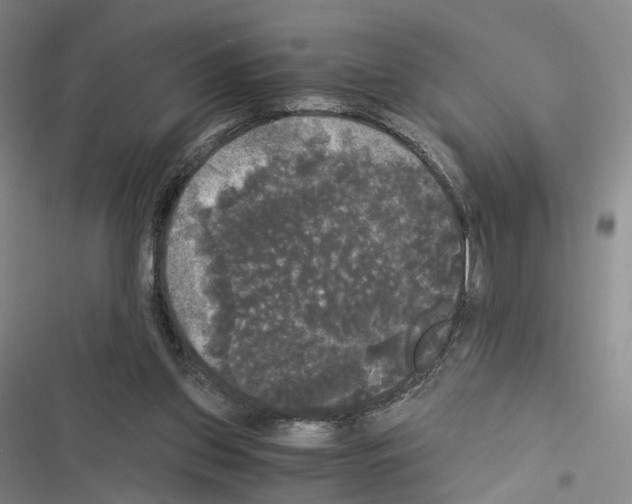 X0000116440157201001191539