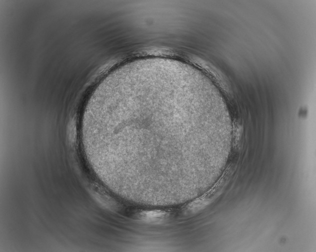 X0000116440158201001191539