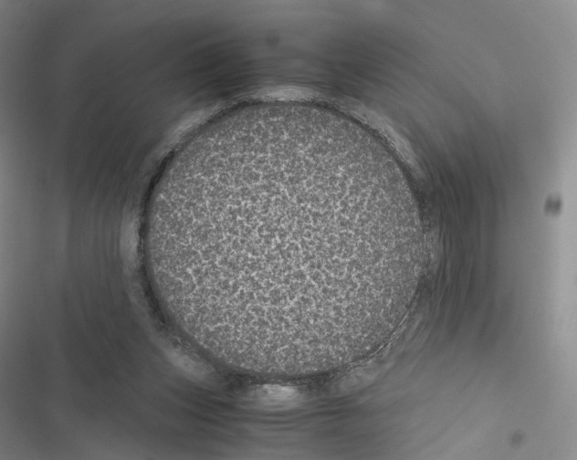 X0000116440159201001191539