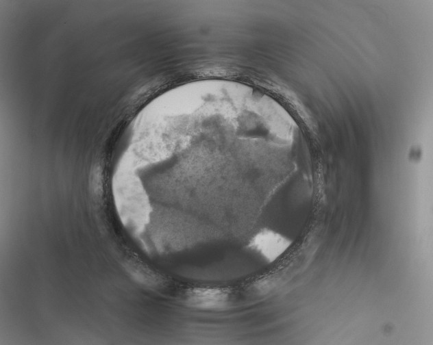 X0000116440161201001191539