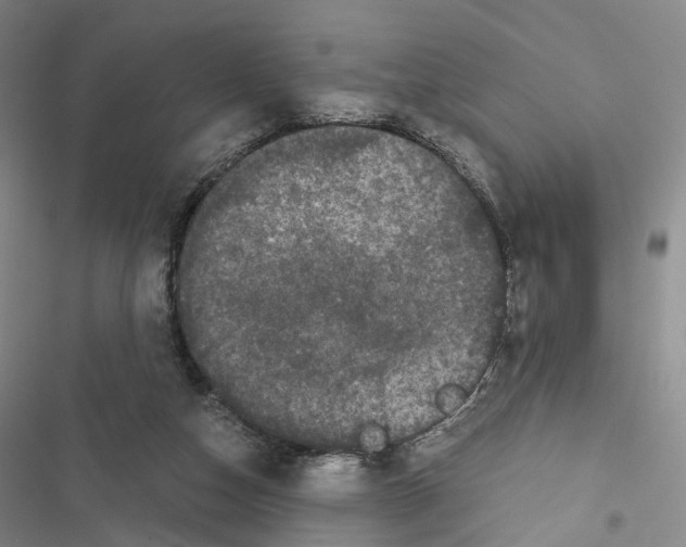 X0000116440162201001191539