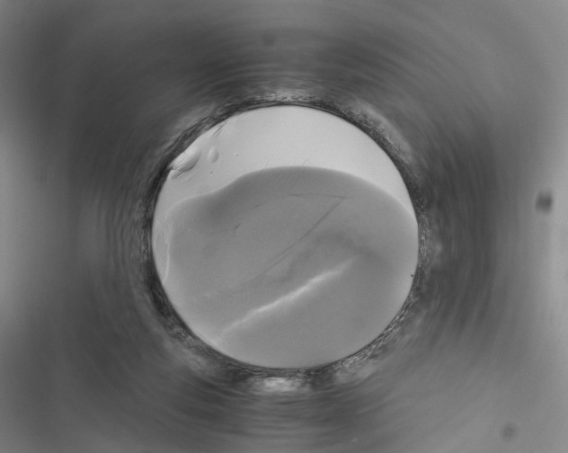 X0000116440163201001191539