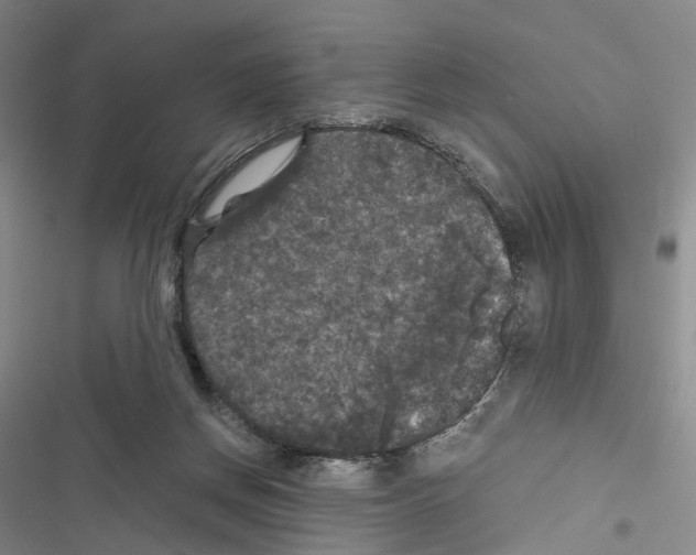 X0000116440166201001191539