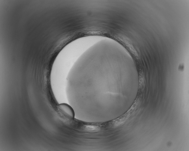 X0000116440167201001191539