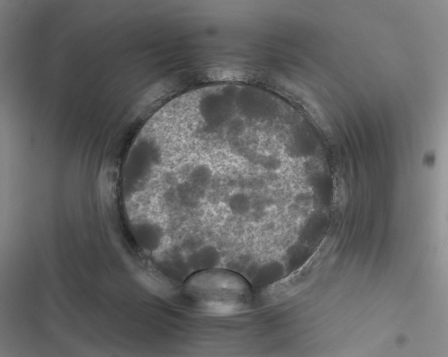 X0000116440171201001191539