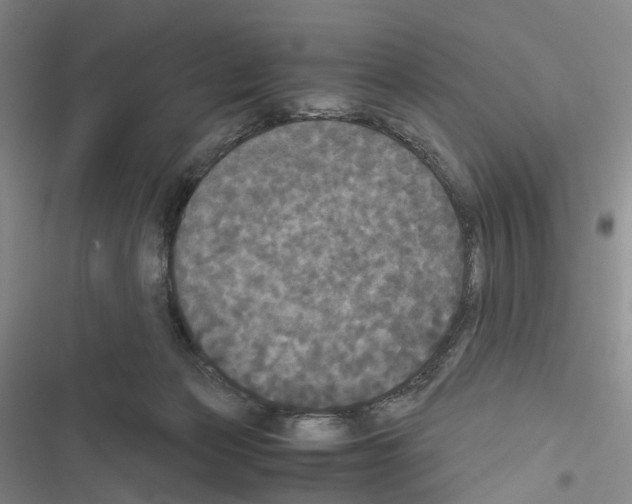 X0000116440173201001191539