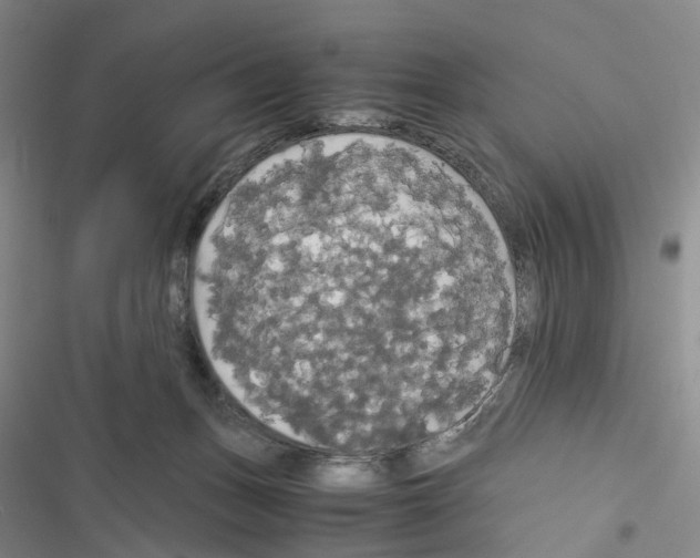 X0000116440175201001191539