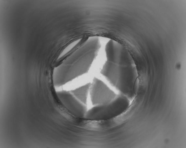 X0000116440182201001191539