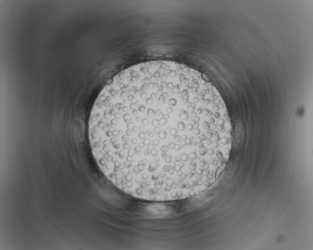 X0000116440183201001191539