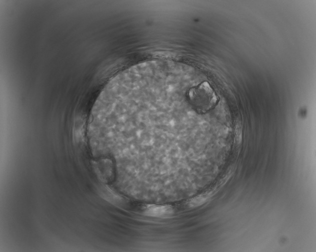 X0000116440185201001191539