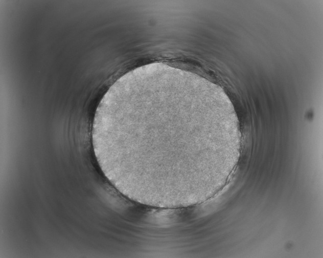 X0000116440186201001191539