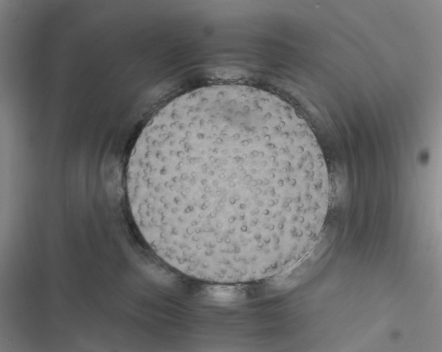 X0000116440187201001191539