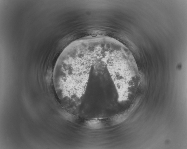 X0000116440189201001191539