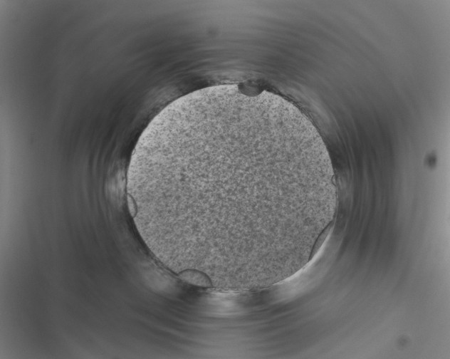 X0000116440190201001191539