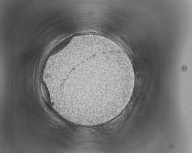 X0000116440193201001191539