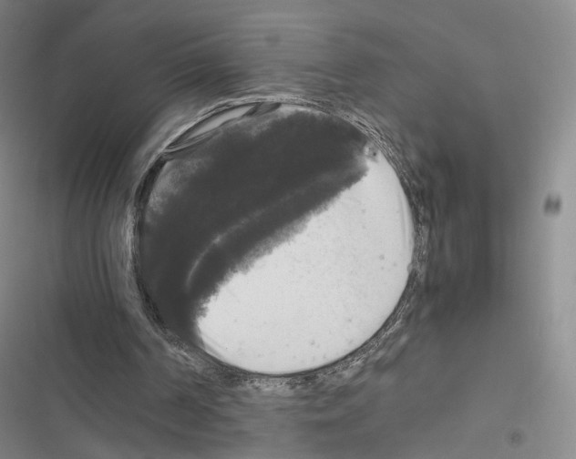 X0000116440194201001191539