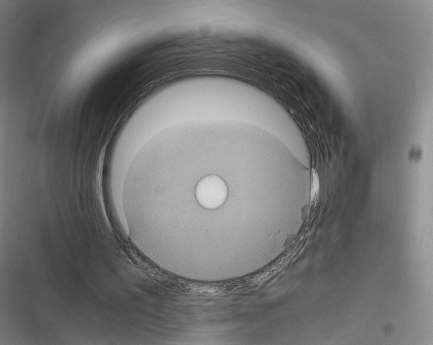 X0000116440195201001191539