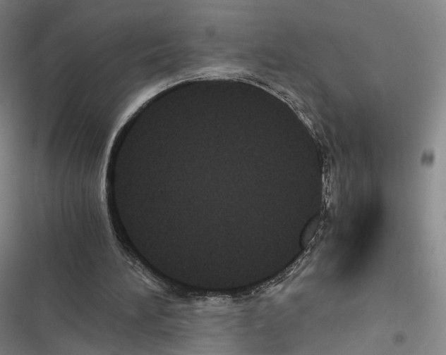 X0000116440196201001191539