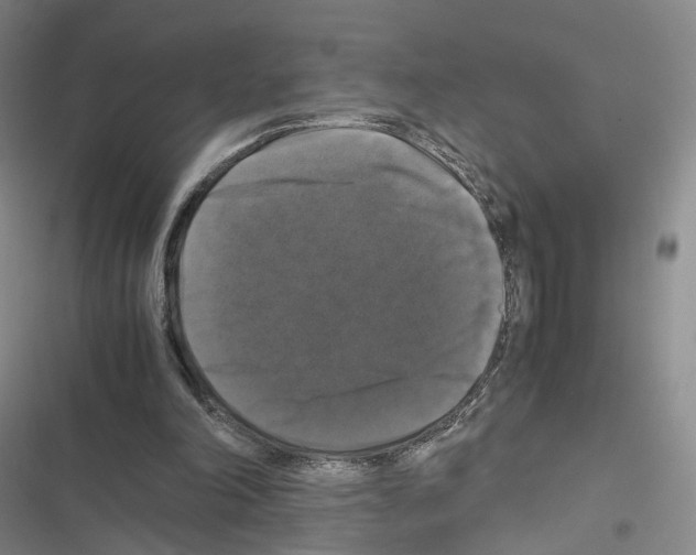 X0000116440198201001191539