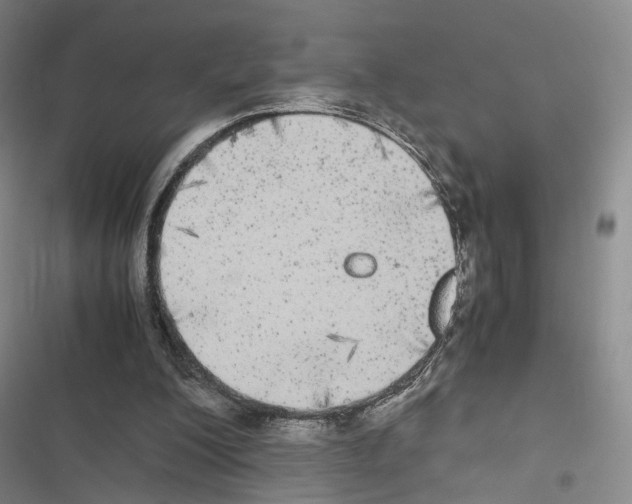 X0000116440200201001191539