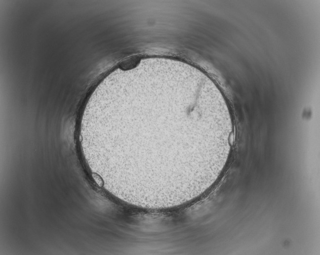 X0000116440201201001191539