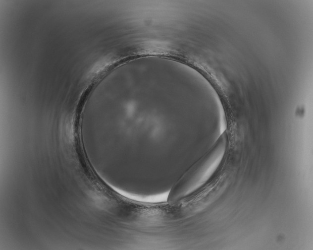 X0000116440203201001191539