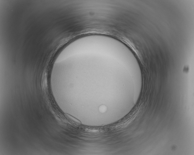 X0000116440205201001191539