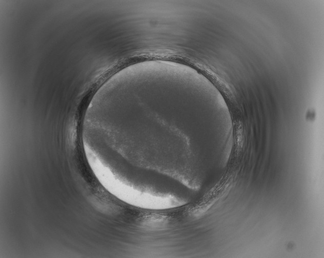 X0000116440206201001191539