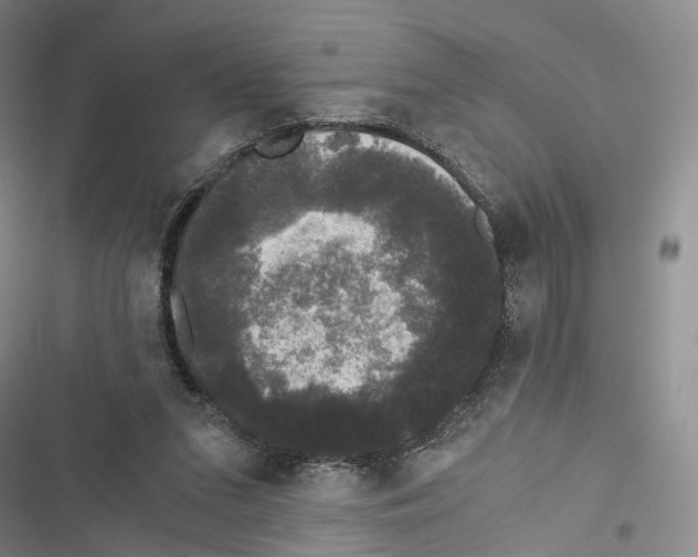 X0000116440207201001191539