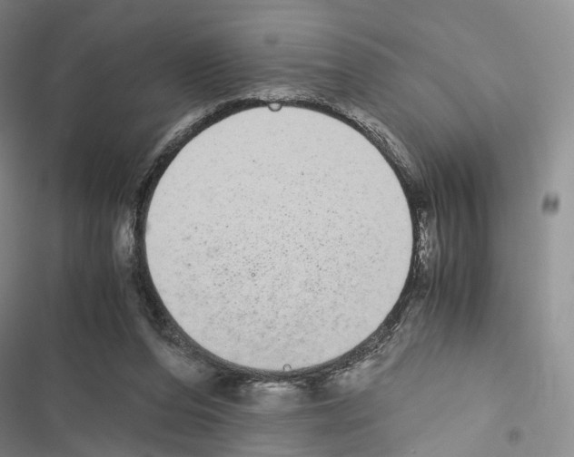 X0000116440208201001191539