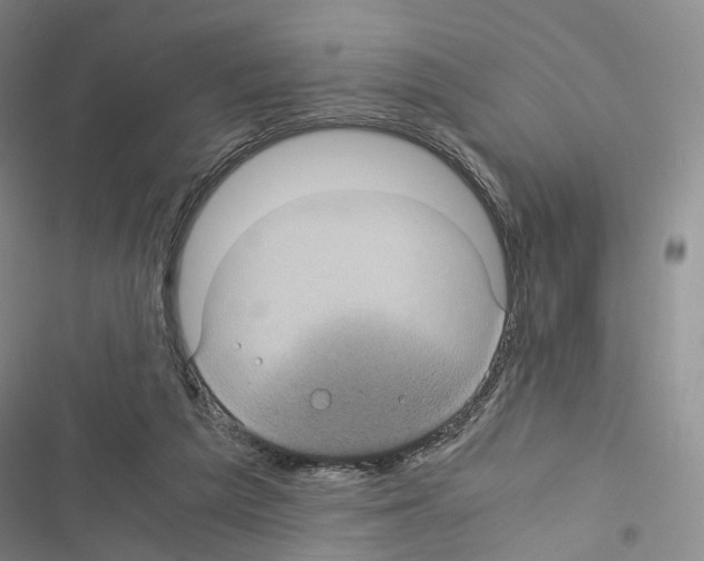 X0000116440209201001191539