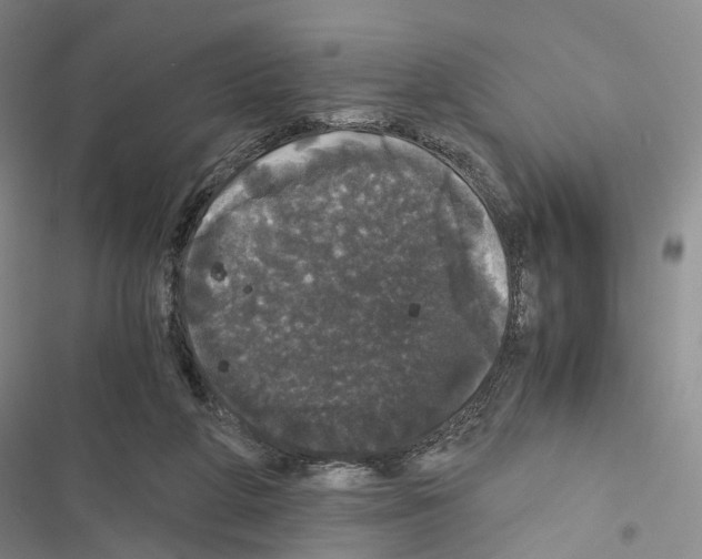 X0000116440210201001191539