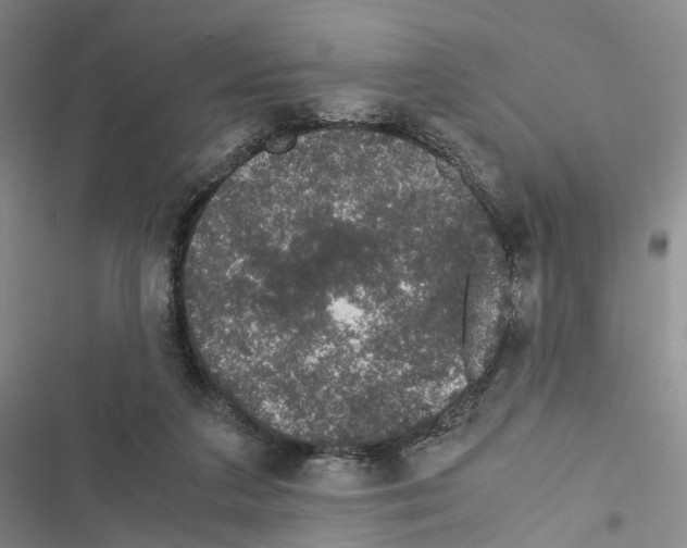 X0000116440211201001191539