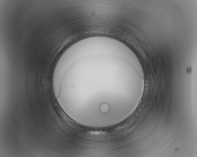 X0000116440212201001191539