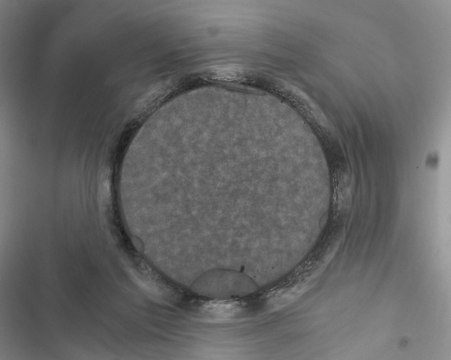 X0000116440213201001191538