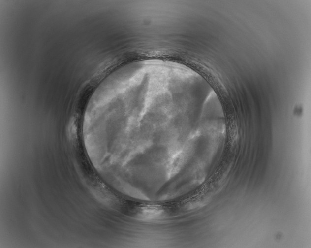 X0000116440214201001191538