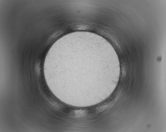 X0000116440216201001191538