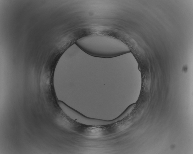 X0000116440219201001191538