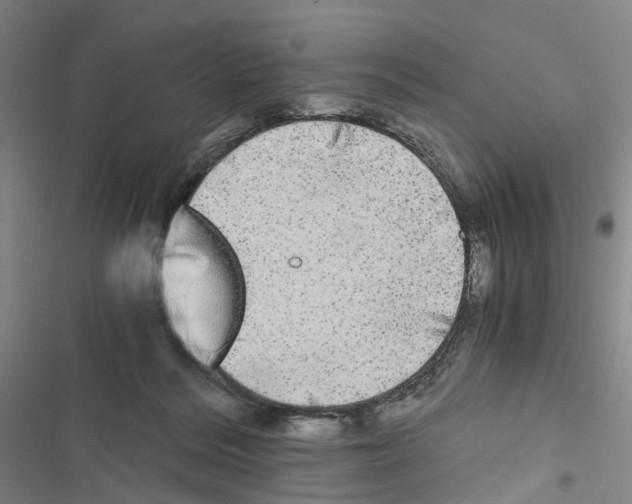 X0000116440220201001191538